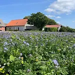 Bed & Breakfast Nygaard