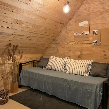 Nygaard 3*