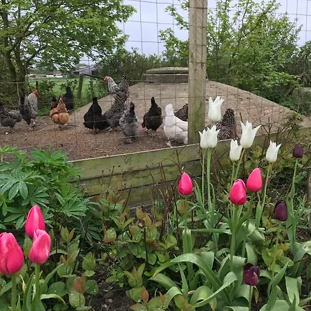 Nygaard Bed & Breakfast 3*