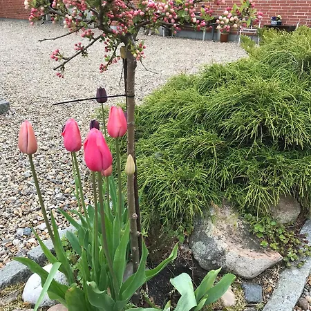 Bed & Breakfast Nygaard 3*