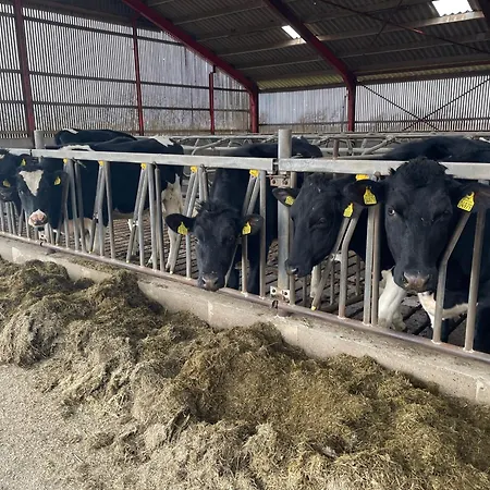 Bed & Breakfast Nygaard Norre Nebel