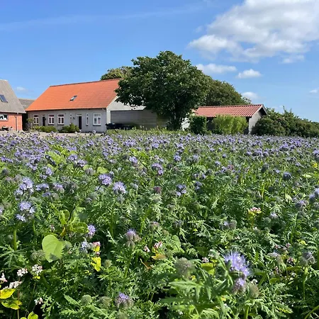 Bed and breakfast Nygaard
