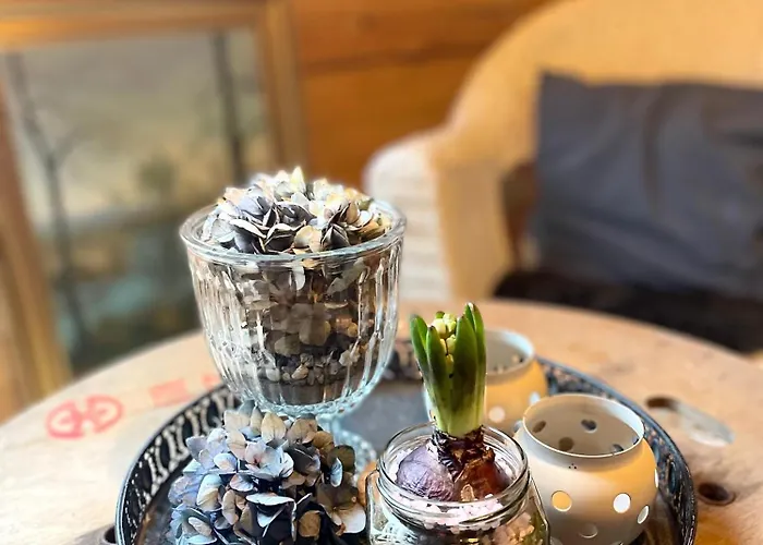 Nygaard Bed & Breakfast Norre Nebel